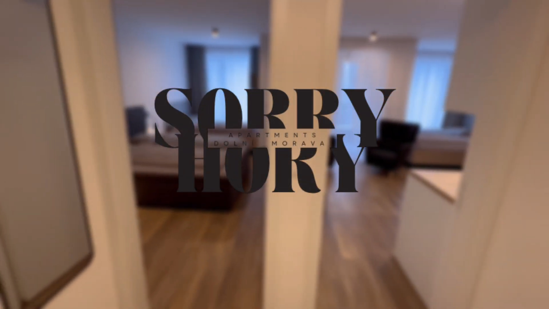 Promo video pro Sorry-Hory